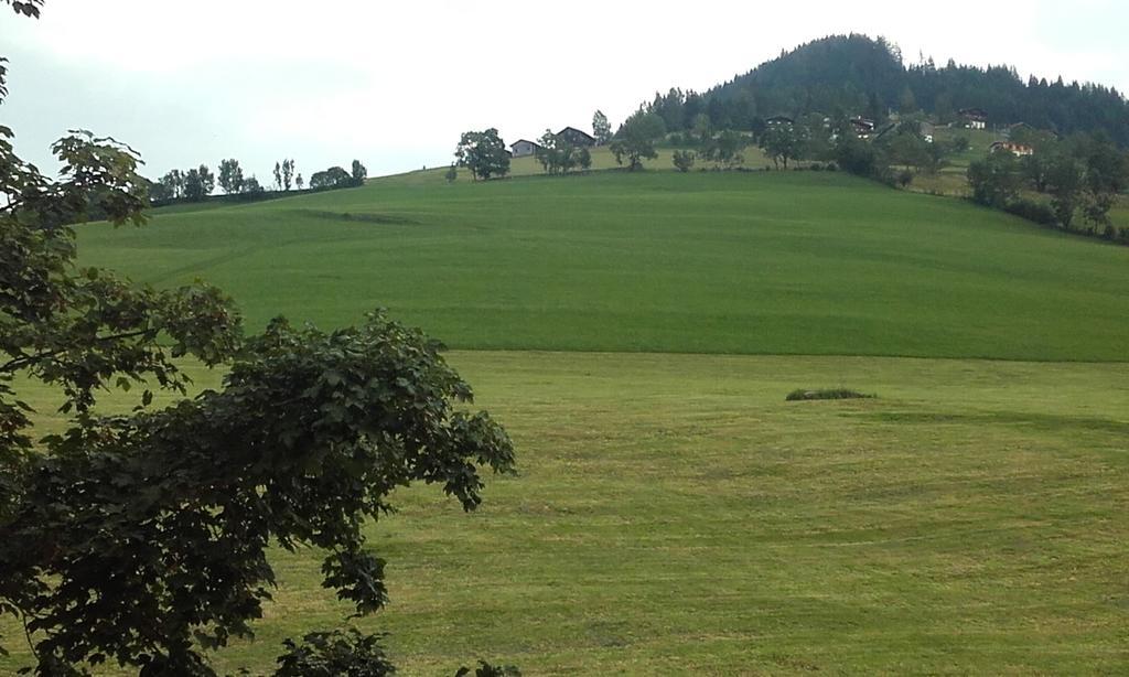 Großberghof Bauernhof Taxenbach