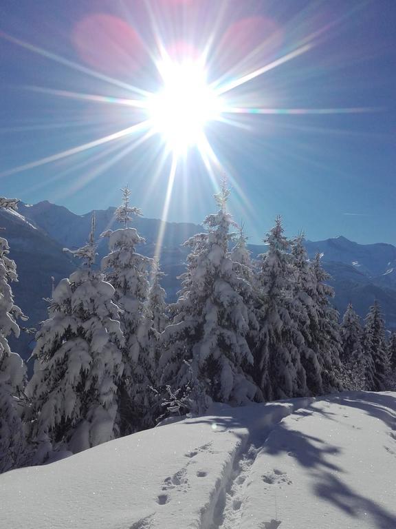 Grossberghof Farm stay *