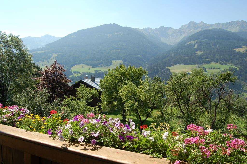 Bauernhof Großberghof Taxenbach